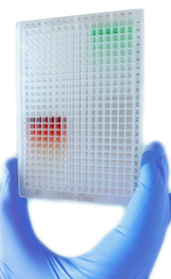 Scientific Research - Drug Discovery venom plates distributed