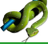 Venomtech - Venom Research Solutions